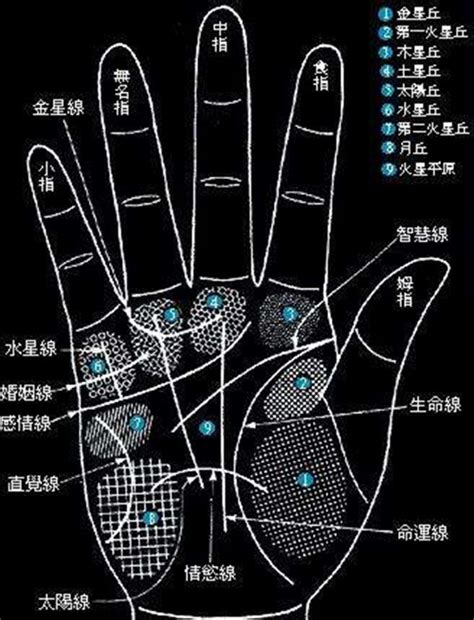 手掌痣位置|手痣位置 10種手痣位置 解析，揭示你的命運秘密